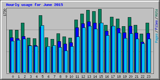 Hourly usage for June 2015