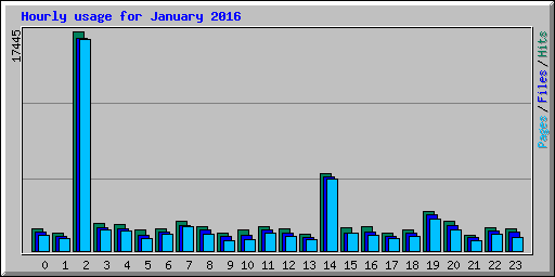 Hourly usage for January 2016